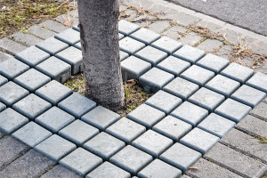 Grille d'arbre en plastique recyclé