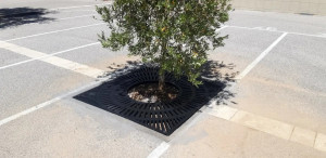 Grille de protection d'arbre en fonte et cadre en acier galvanisé