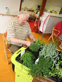 Jardin thérapeutique Alzheimer - Devis sur Techni-Contact.com - 2