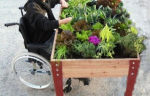 Jardin thérapeutique pour résidents et équipe accompagnante - Devis sur Techni-Contact.com - 1