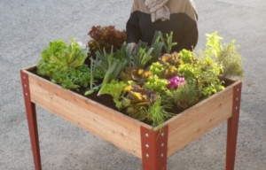 Jardin thérapeutique pour résidents et équipe accompagnante - Devis sur Techni-Contact.com - 2