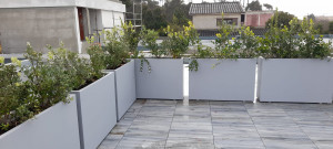 Jardinière aménagement extérieur en béton - Devis sur Techni-Contact.com - 1