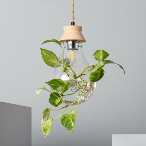 Lampe Suspendue Kathu  - Devis sur Techni-Contact.com - 1