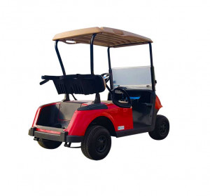 Voiturette électrique pour parcours de golf - Devis sur Techni-Contact.com - 3