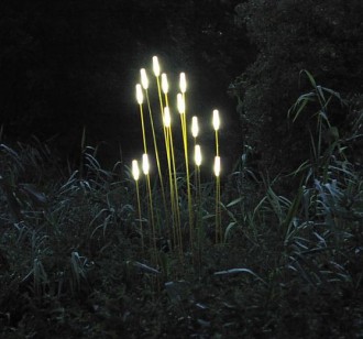 Lumière extérieure pour jardin - Devis sur Techni-Contact.com - 4