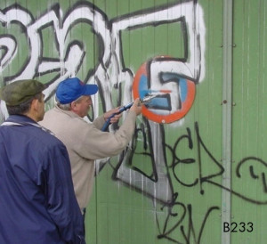 Machine de nettoyage de graffiti - Devis sur Techni-Contact.com - 5