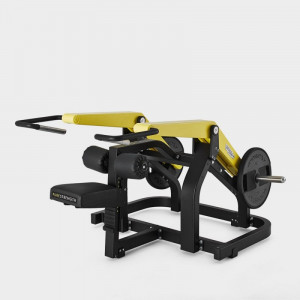 Machine Triceps occasion - Devis sur Techni-Contact.com - 2