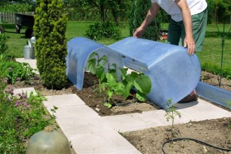 Mini serre jardin - Devis sur Techni-Contact.com - 2