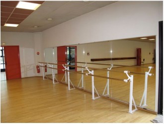 Miroir plat pour salle de danse - Devis sur Techni-Contact.com - 2