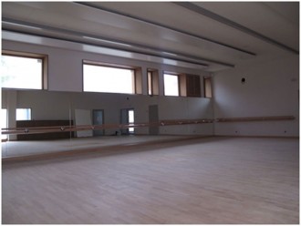 Miroir plat pour salle de danse - Devis sur Techni-Contact.com - 4