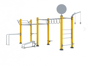 Module street workout   - Devis sur Techni-Contact.com - 1