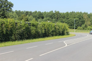 Mur anti bruit végétal