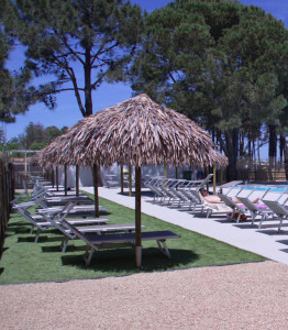 Parasol exotique PALAPA - Devis sur Techni-Contact.com - 3