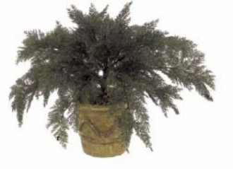 Plante artificielle d'extérieur juniperus - Devis sur Techni-Contact.com - 1