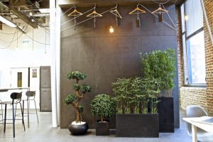 Plante artificielle Bambou - Devis sur Techni-Contact.com - 1