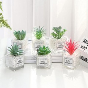 plante en pot en verre - Devis sur Techni-Contact.com - 1