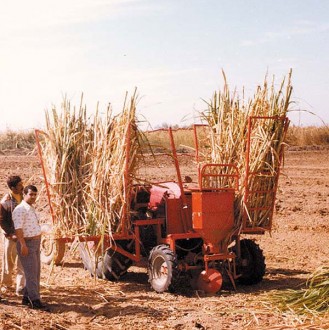 Planteuse canne à sucre - Devis sur Techni-Contact.com - 2