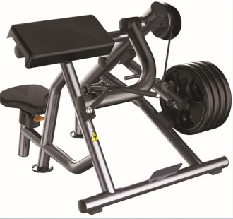 Presse de musculation à Dips 100 Kg - Devis sur Techni-Contact.com - 1