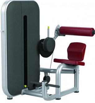 Presse de musculation abdominale - Devis sur Techni-Contact.com - 1