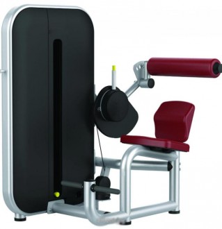 Presse de musculation lombaire - Devis sur Techni-Contact.com - 1