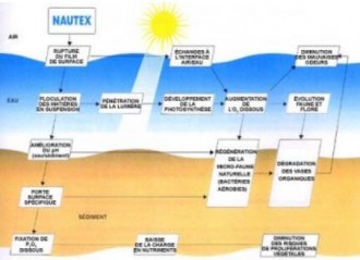 Produit pour purification d'eau - Devis sur Techni-Contact.com - 1