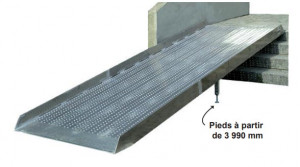 Rampe de chargement pour escaliers - Devis sur Techni-Contact.com - 1