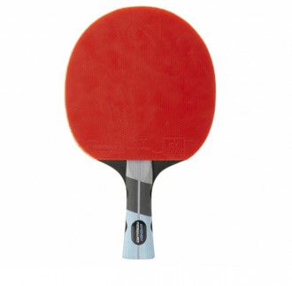 Raquette de tennis de table familliale - Devis sur Techni-Contact.com - 2