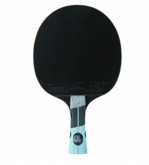 Raquette de tennis de table familliale - Devis sur Techni-Contact.com - 3