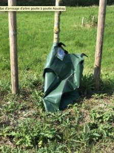 Sac d'arrosage arbre goutte à goutte   - Devis sur Techni-Contact.com - 1