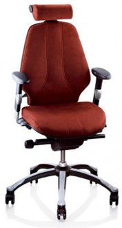 Siège ergonomique pour le dos - Devis sur Techni-Contact.com - 1