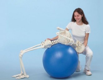 Squelette flexible 1m70 - Devis sur Techni-Contact.com - 1