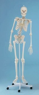 Squelette flexible 1m70 - Devis sur Techni-Contact.com - 2