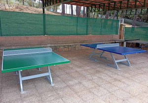 Table de tennis d'extérieure