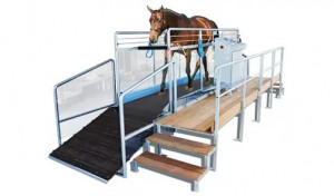 Tapis d’entrainement chevaux - Devis sur Techni-Contact.com - 1