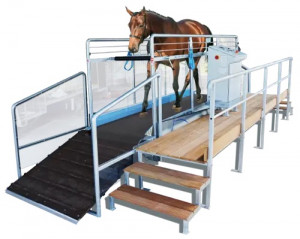 Tapis d’entrainement pour cheval - Devis sur Techni-Contact.com - 3