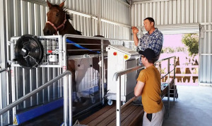 Tapis d’entrainement trotteur pour chevaux - Devis sur Techni-Contact.com - 2