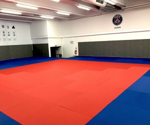 Tatamis pour Judo MMA Karaté et Aikido - Devis sur Techni-Contact.com - 1