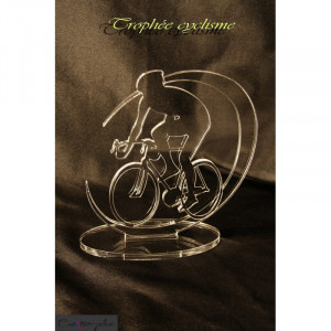 Trophées plexiglas grand modèle - Devis sur Techni-Contact.com - 1