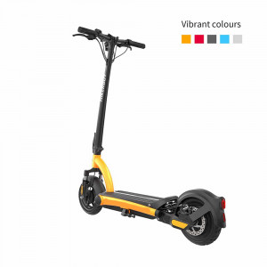 Trottinette électrique avec écran LED - Devis sur Techni-Contact.com - 1