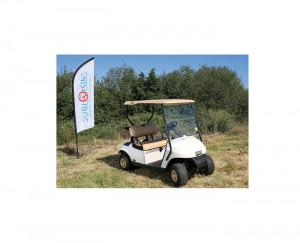 Véhicule golf 2 places - Devis sur Techni-Contact.com - 1