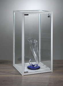 Vitrine cloche - Devis sur Techni-Contact.com - 2