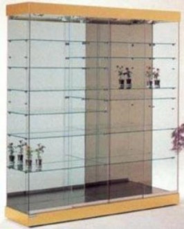 Vitrine commerce en verre