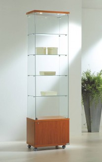 Vitrine étroite pour commerce