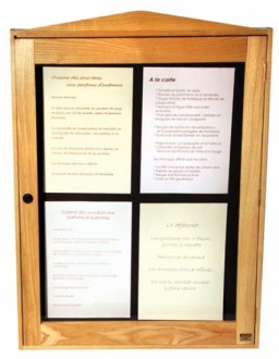 Vitrine lumineuse pour menu - Devis sur Techni-Contact.com - 1