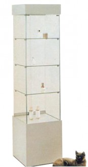 Vitrine verre pour commerce