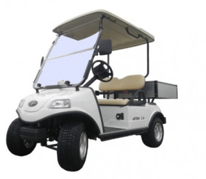 Voiturette de golf 2 places  - Devis sur Techni-Contact.com - 1