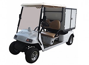 Voiturette de golf frigo - Devis sur Techni-Contact.com - 1