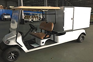 Voiturette de golf frigo - Devis sur Techni-Contact.com - 2