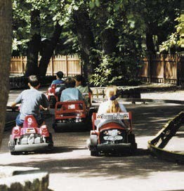 Voiturette électrique - Devis sur Techni-Contact.com - 1