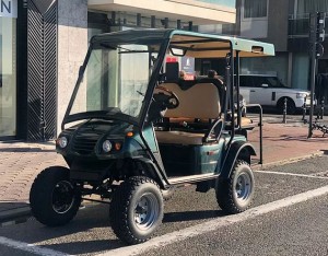 Voiturette électrique transport 4 personnes - Devis sur Techni-Contact.com - 1